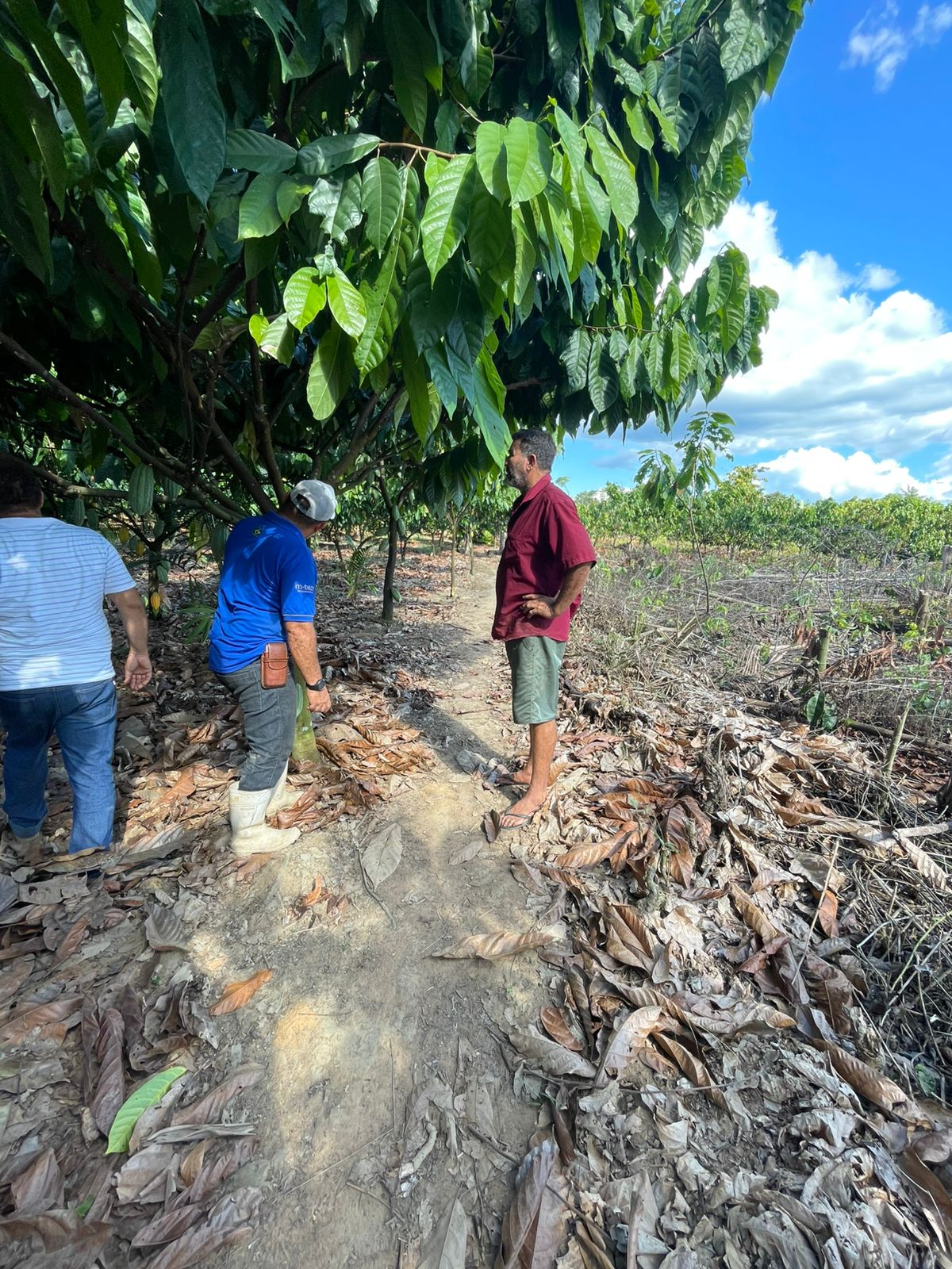 WhatsApp Image 2025-06-23 at 10.12.58