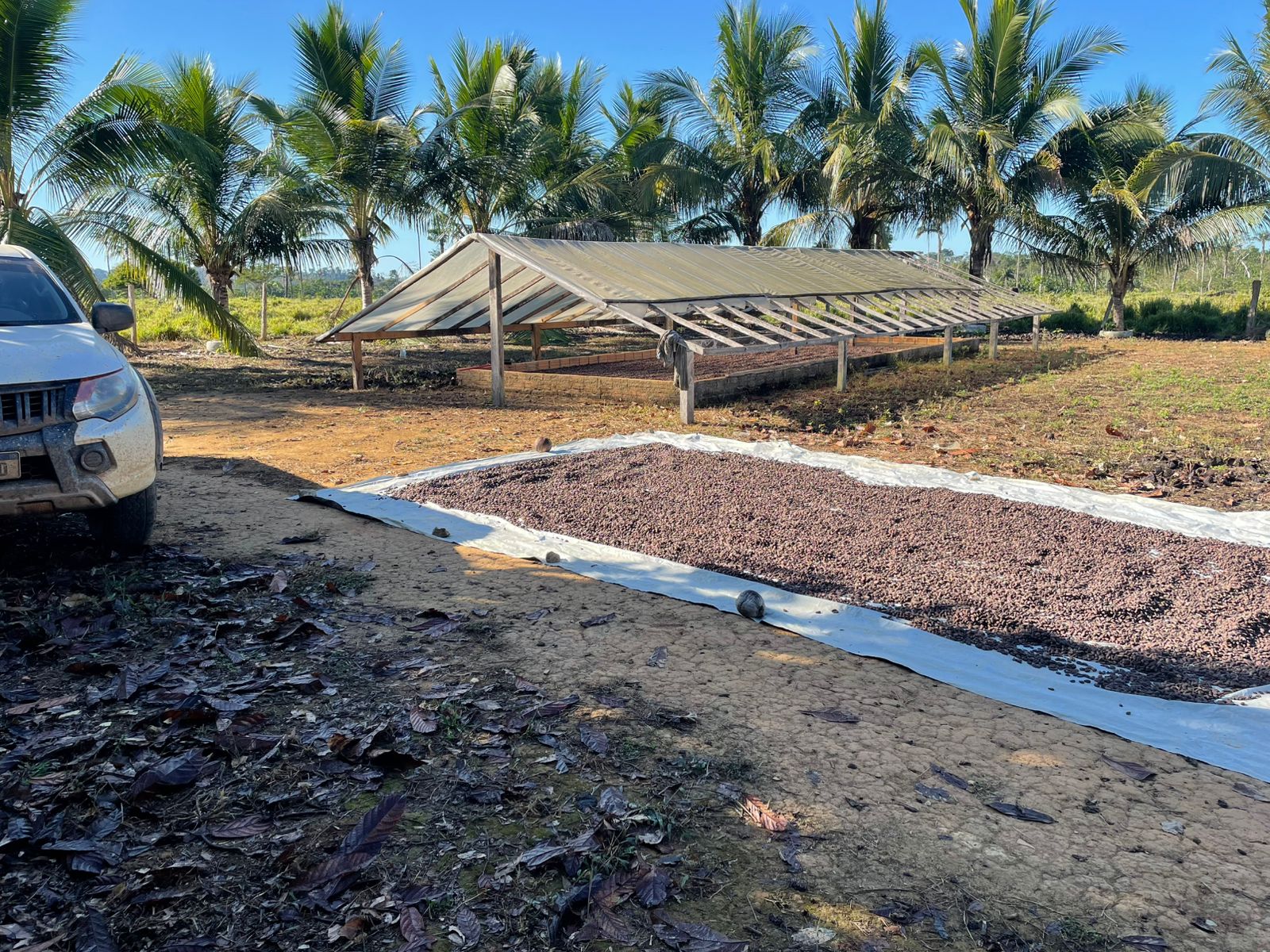 WhatsApp Image 2025-06-23 at 10.13.00