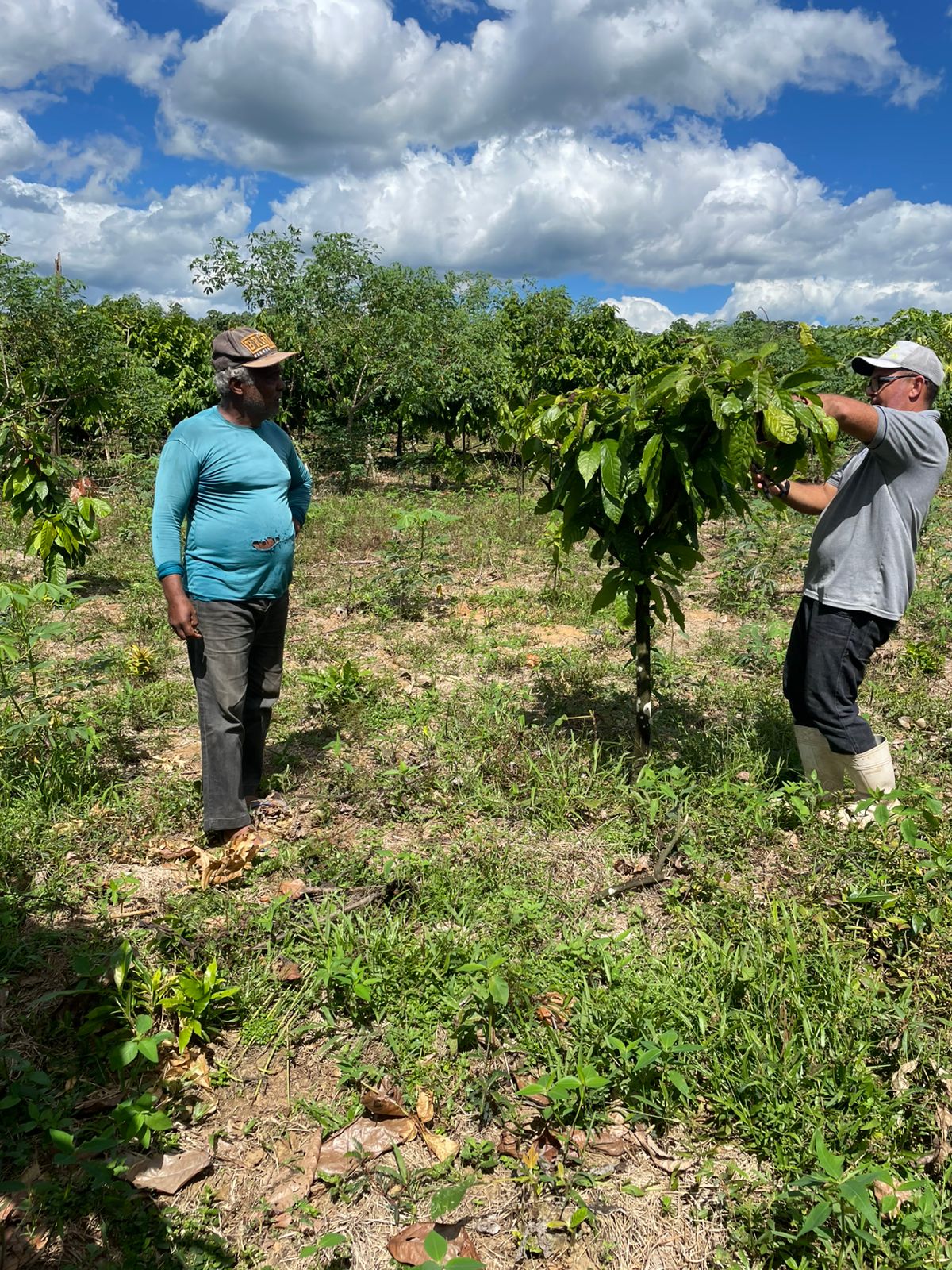 WhatsApp Image 2025-06-23 at 10.13.01